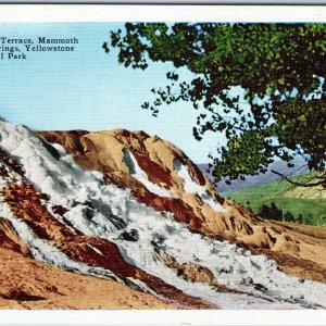 c1930s Yellowstone National Park, WY Jupiter Terrace Mammoth Hot Springs PC A219