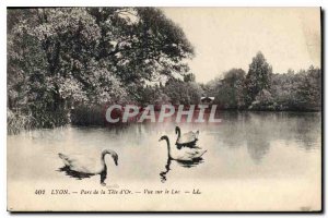 Postcard Old Lyon Park Tete d'Or Lake View