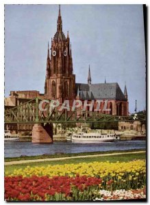 Old Postcard Frankfurt Am Main Mainpartie und Dom