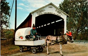 PC Bill Capps Mule Pioneer Days Covered Bridge 14-61-13 Park County Indiana