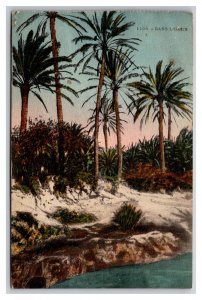 dans l'Oasis Tunisia  UNP DB Postcard Q25