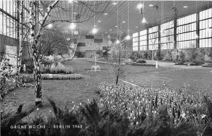 BG23367 grune woche berlin 1960   germany CPSM 14x9cm