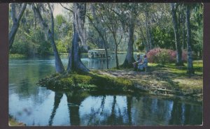 FL SILVER SPRINGS along Silver River Sightseeing boats clear stream pm1958Chrome