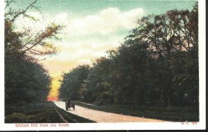 Surrey Postcard - Gibbett Hill From The South, Hindhead   A4354