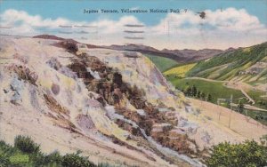 Wyoming Yellowstone National Park Jupiter Terrace 1946
