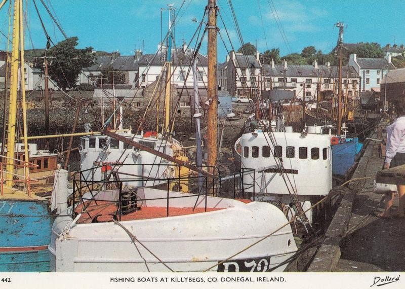 Fishing Boats at Killybegs County Donegal Irish 1970s Postcard