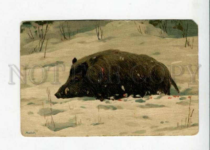 3158740 Winter Hunt WILD BOAR by MAILICK Vintage colorful PC