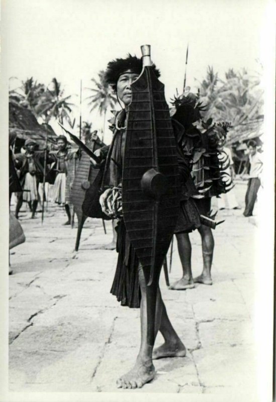 indonesia, NIAS, Native Warrior Shield Spear (1930s) Real Photo (10)