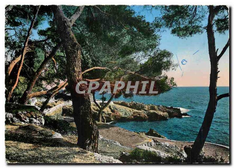 Postcard Modern French Riviera Cap d'Ail The sea and the pinewood