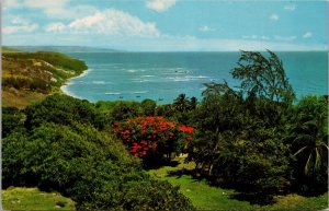 East Coast Scene Barbados West Indies Postcard PC550