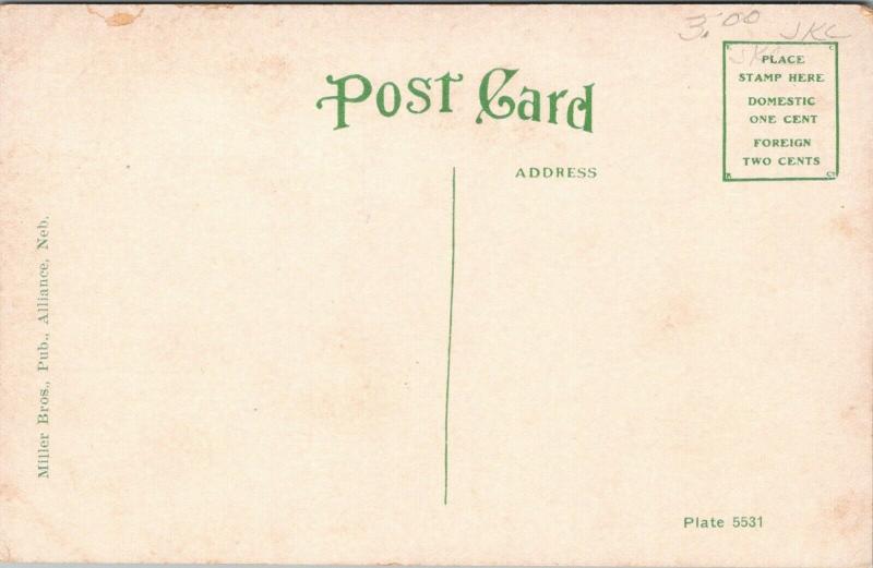 Alliance Nebraska~Carnegie Public Library~Now Arts Center~4th Street~c1910