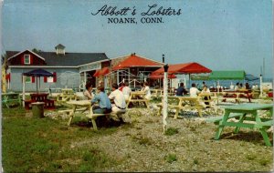 Picnic Tables, Abbott's Lobsters Noank CT Vintage Postcard O62