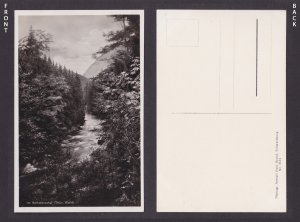 Vintage postcard Schwarzatal river valley Thuringia forest Germany