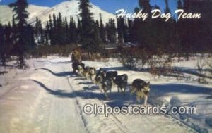 Alaska Husky Dog Team, AK USA Ski, Skiing Unused 