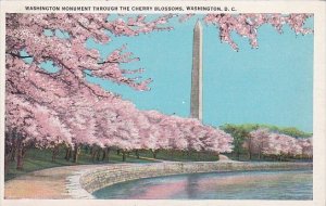 Washington Monument Through The Chreey Blossoms Washington D C