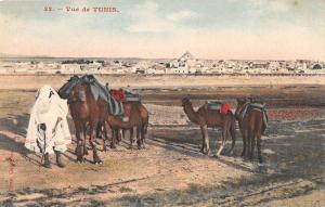 BF8743 vue de tunisia types camel    Tunisia