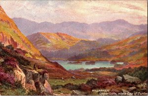 Tucks 7402 Killarney, Upper Lake, Above Gap of Dunloe Vintage Postcard N79