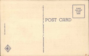 Greyhound Lines Bus Linen Vintage Postcard