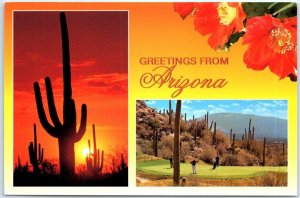 Postcard - Greetings From Arizona