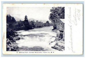 1906 Bishop Falls, Catskill Mountains, Utica New York NY Kingston NY Postcard