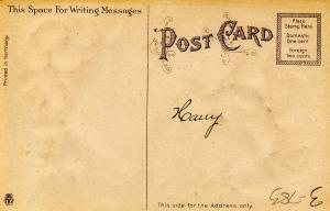 Greeting - Thanksgiving, Turkey. Heavily Embossed