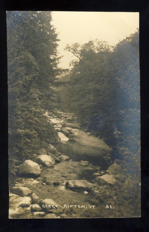 Ripton, Vermont/VT Postcard, The Gorge, Photo Postcard