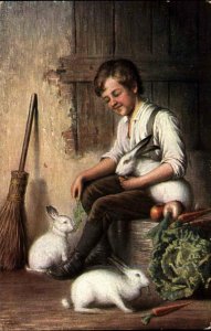 Little Boy Feeds White Rabbits Lovely Art c1910 Vintage Postcard