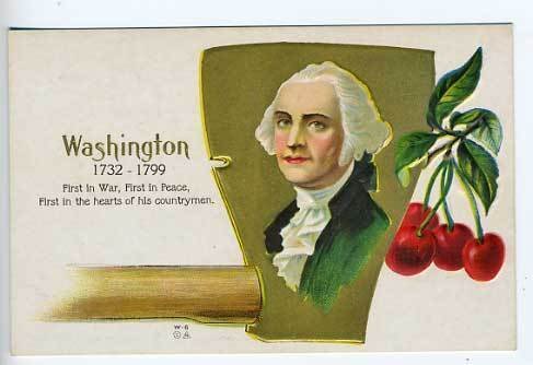 George Washington Hatchet Cherry Tree Postcard