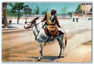 c1910 Want a Good Donkey Sir Riding Egyptian Types and Scenes Postcard