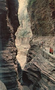 Vintage Postcard Watkins Glen Gorge Pathways Trail Rocky Ledges Bridges New York