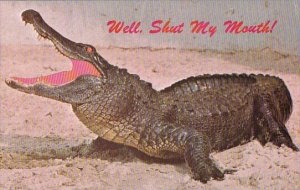 Florida Miami Well Shut My Mouth Florida Offers Real Southern Hospitality 1975