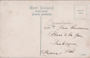 New Zealand Albert Park Auckland Vintage Postcard C097