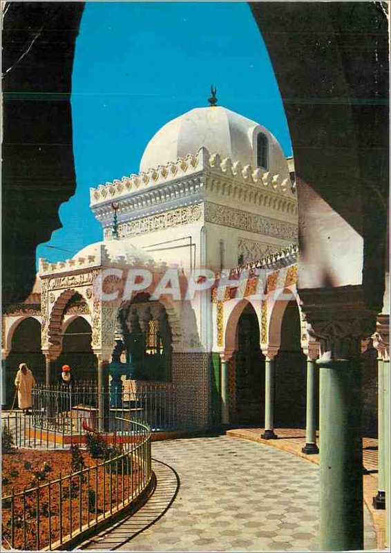 Postcard Modern Algeria Oran Mosque of Pasha