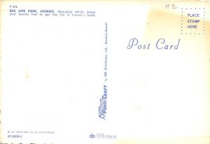 Feeding the Whale Sea Life Park, Hawaii, USA Postcard