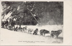 Dog Team on Yukon Trail Alaska AK Men Sled Unused Winter & Pond Postcard H36