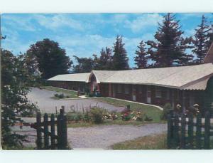 Unused 1950's NEW RIVER VIEW MOTEL Oneonta New York NY u3754