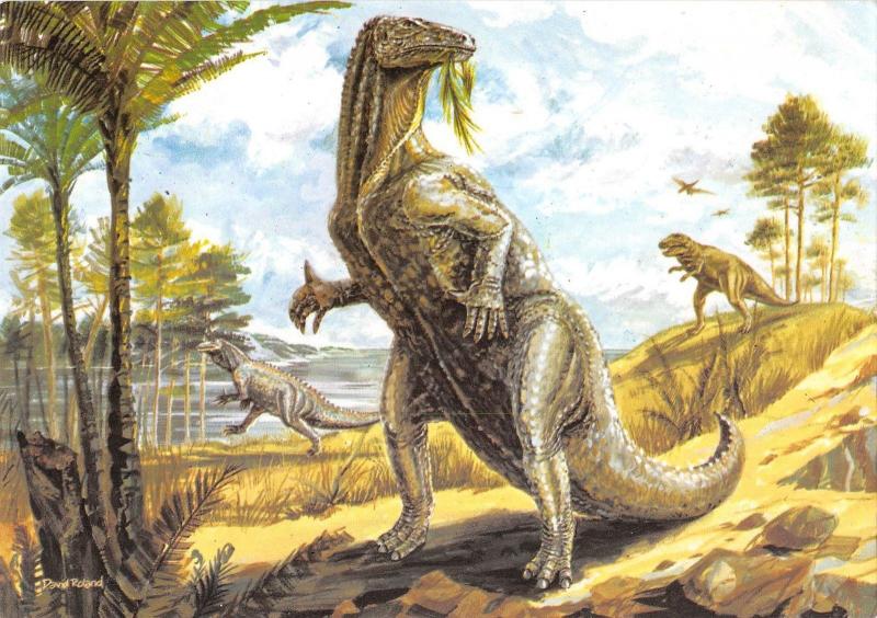 BR102768 iguanodon  animal animaux dinosaure dinosaur postcard