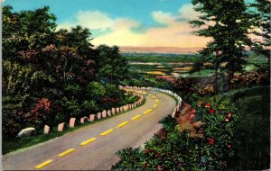 Lookout Mountain Chattanooga Tennessee Highway 58 Scenic Landscape DB Postcard 