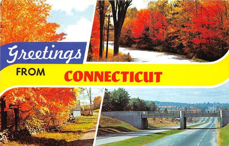 BG21334 greetings from connecticut usa