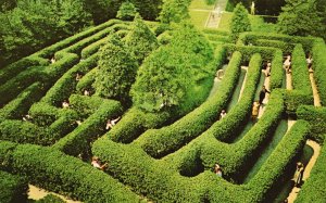 Williamsburg Virginia VA, The Governor's Palace Holly Maze, Vintage Postcard