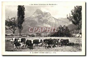 Old Postcard Beautiful colelctions High Saboie The tooth & # 39Ocre (cows)