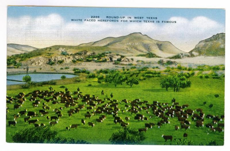 'Roundup in West Texas'  unused Kropp Linen Natural Color Postcard