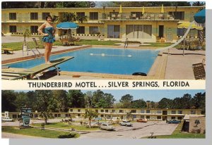 Silver Springs, Florida/FL Postcard, Thunderbird Motel