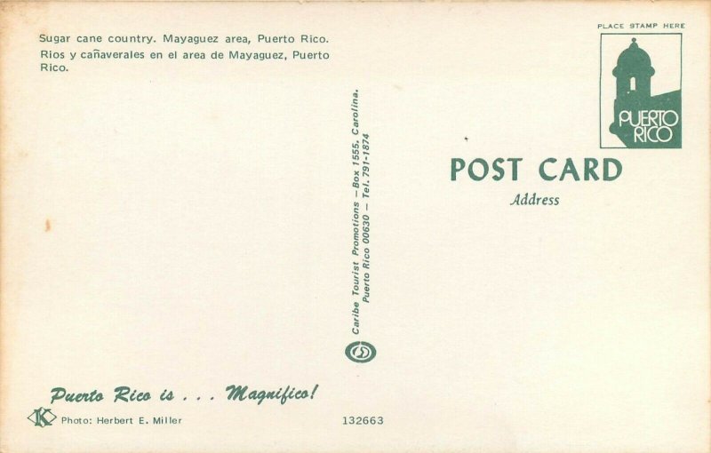 Puerto Rico sugar cane country Mayaguez area postcard