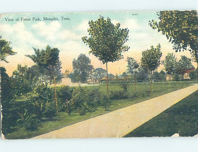 Divided-Back PARK SCENE Memphis Tennessee TN H3484