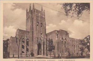 Connecticut New Haven Peabody Museum Of Natural History Yale University Alber...