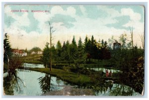 1908 Horeb Spring Bridge Scenic View Tree Waukesha Wisconsin WI Vintage Postcard 