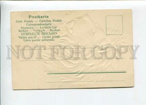 3156535 LION Hunt vintage Embossed Postcard