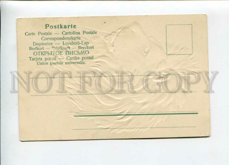 3156535 LION Hunt vintage Embossed Postcard