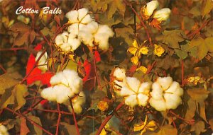 Cotton Balls A Vagetable Fiber View Postcard Backing 